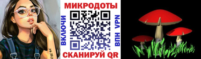 Купить  Приволжск  Псилоцибиновые грибы прущие грибы 